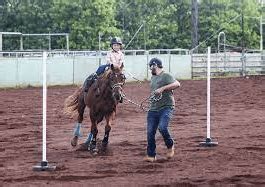 How Has Pole Bending Evolved Over The Years, And What.